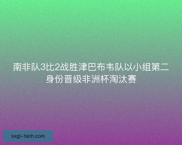 南非队3比2战胜津巴布韦队以小组第二身份晋级非洲杯淘汰赛