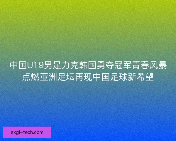 中国U19男足力克韩国勇夺冠军青春风暴点燃亚洲足坛再现中国足球新希望